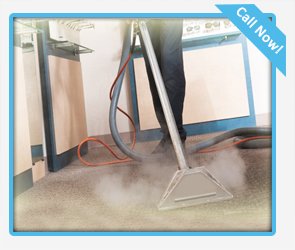 Carpet Steam Cleaners